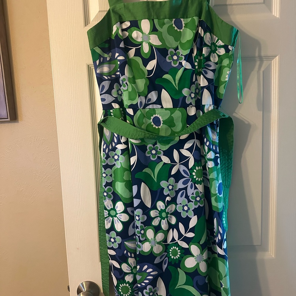 Sandra Darren size 10 blue and green dress.